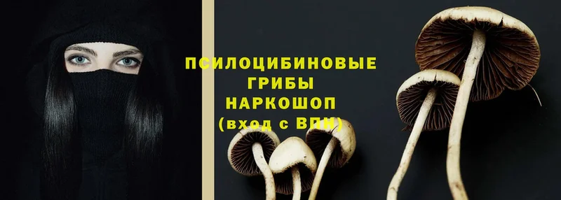 Галлюциногенные грибы Magic Shrooms  сколько стоит  Ковылкино 